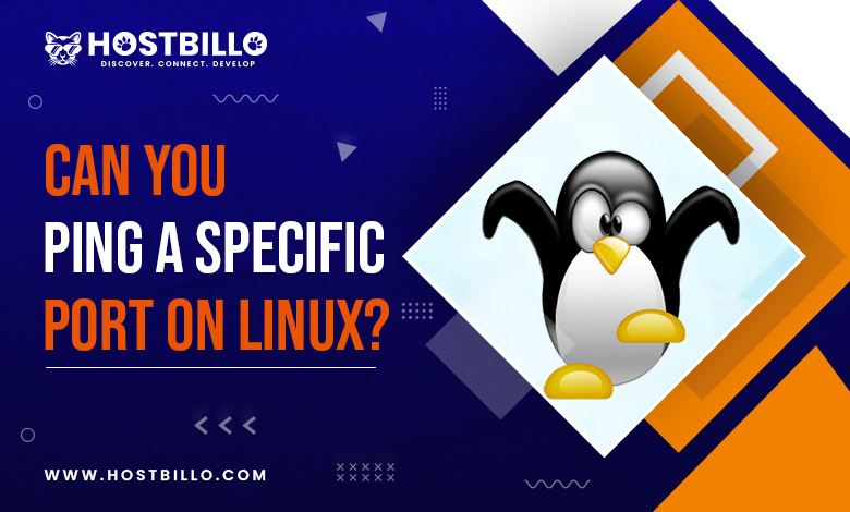 How to Ping a Specific Port Number in Linux & Windows? - Hostbillo Blog ...