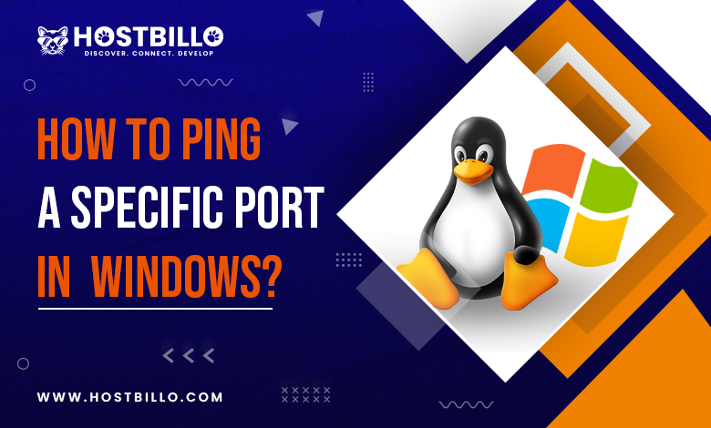 How to Ping a Specific Port Number in Linux & Windows? - Hostbillo Blog ...